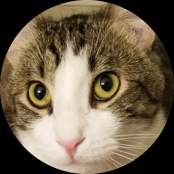 catlady818